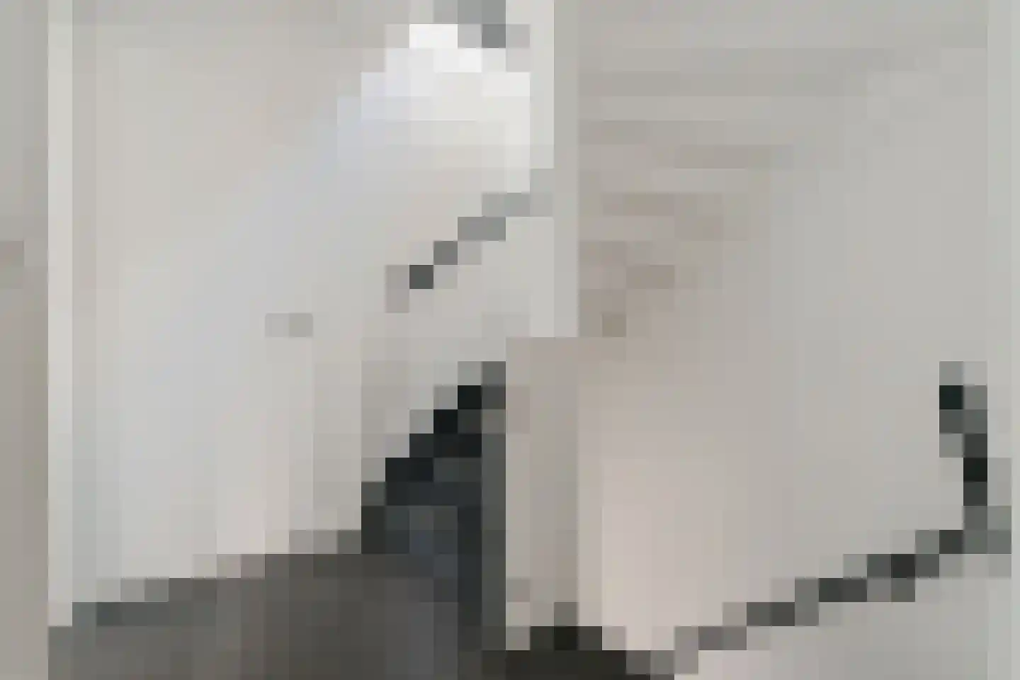 Ratelaar 1 Genemuiden thumbnail 41