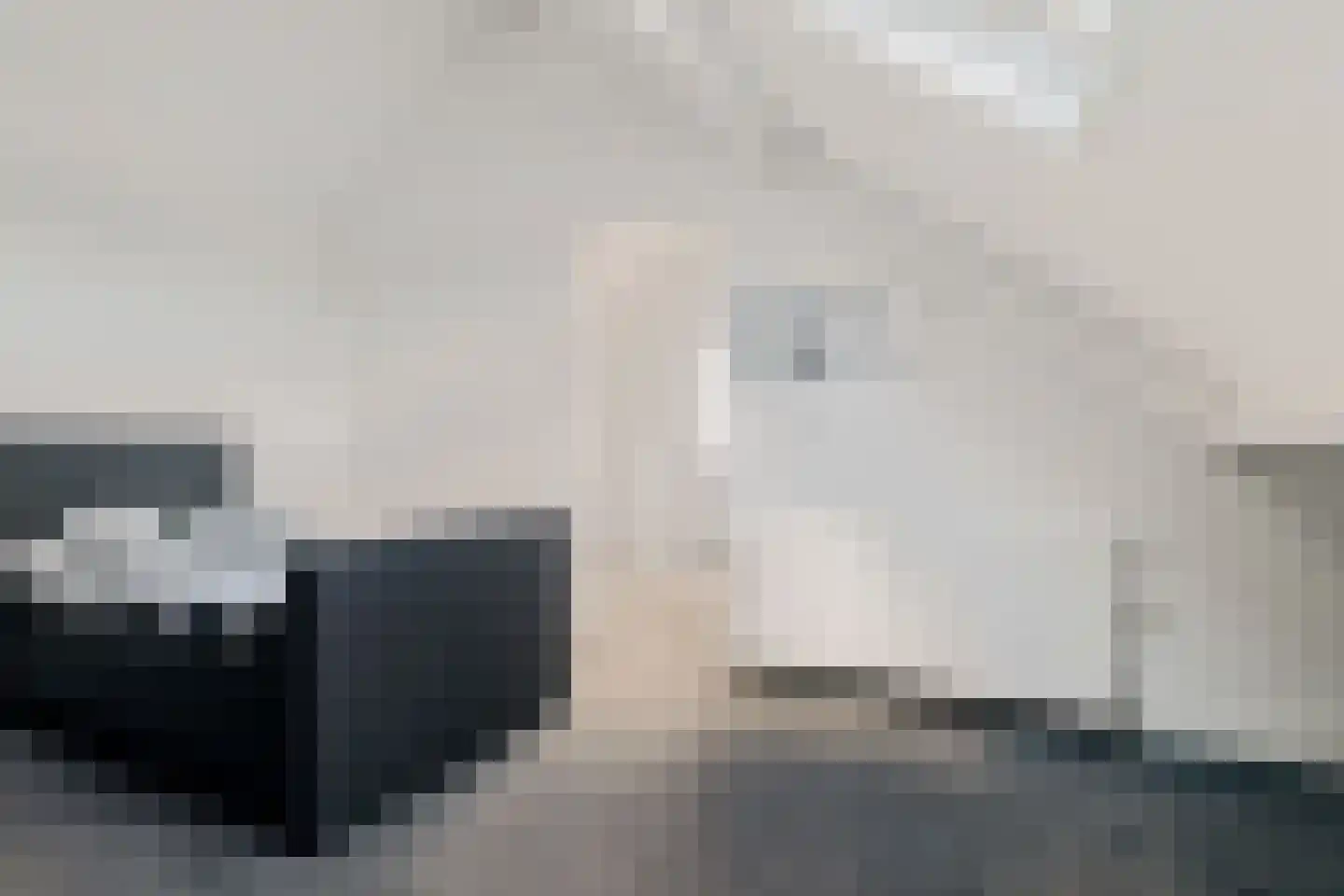 Ratelaar 1 Genemuiden thumbnail 46