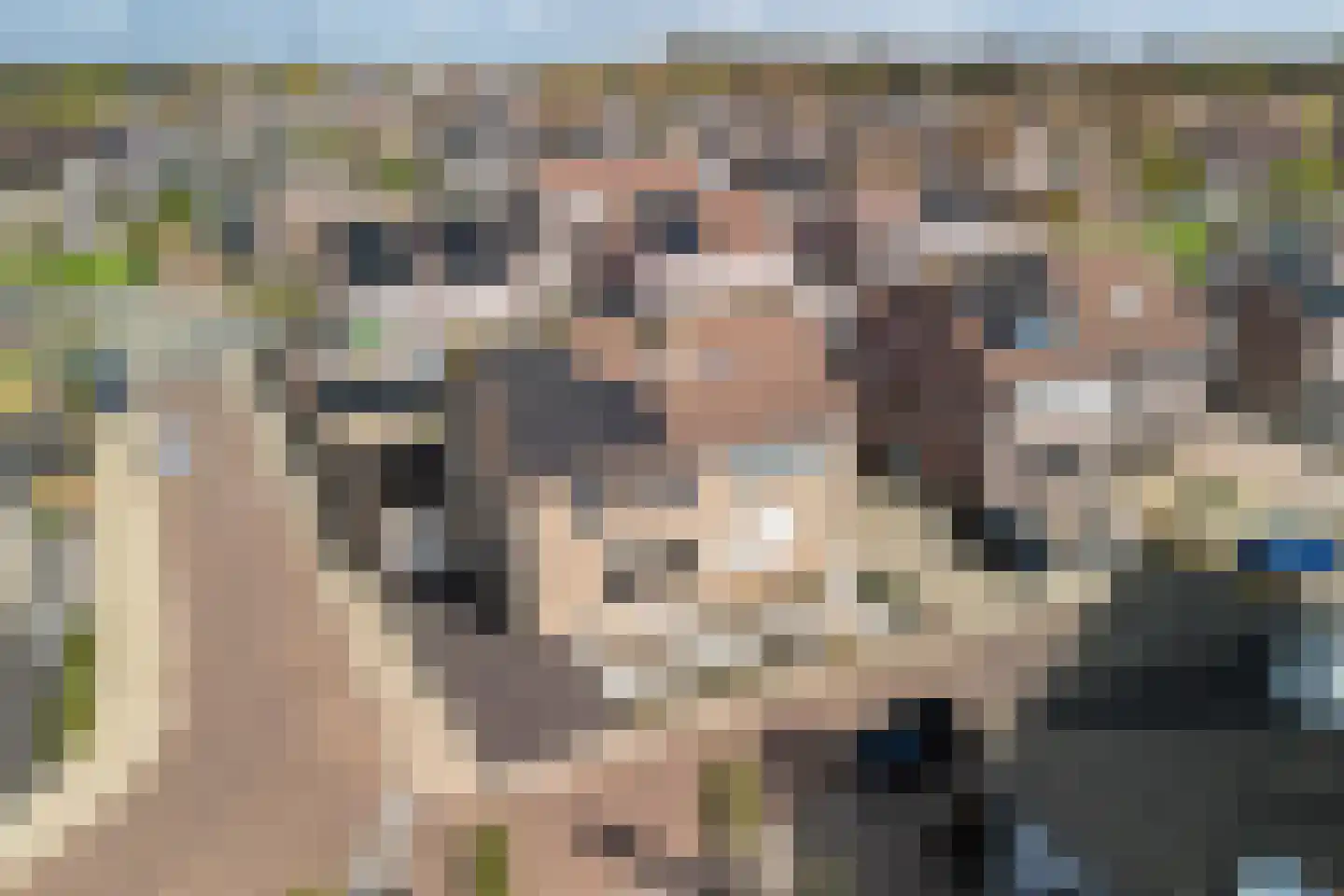 Ratelaar 1 Genemuiden thumbnail 6