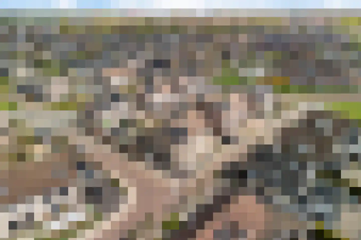Ratelaar 1 Genemuiden thumbnail 7
