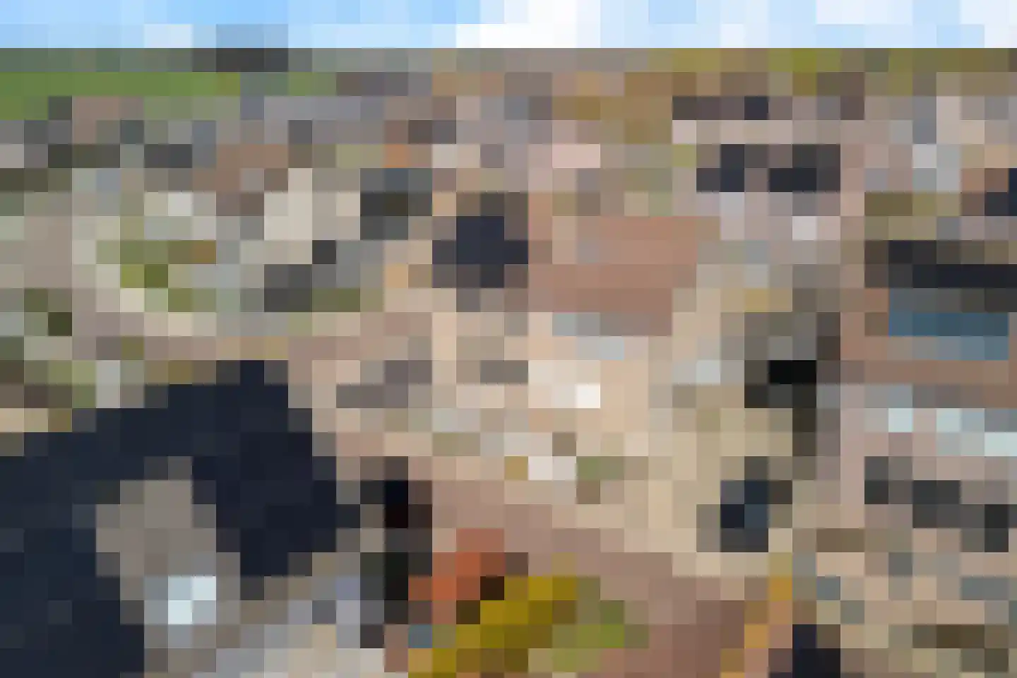 Ratelaar 1 Genemuiden thumbnail 9