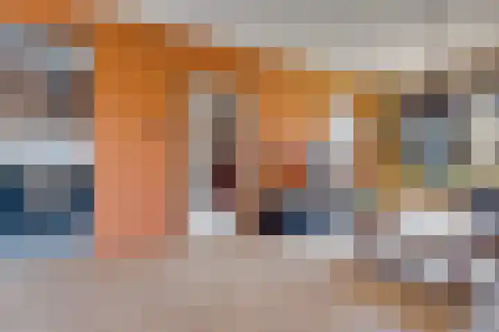 Ratelaar 1 Heerenveen thumbnail 12