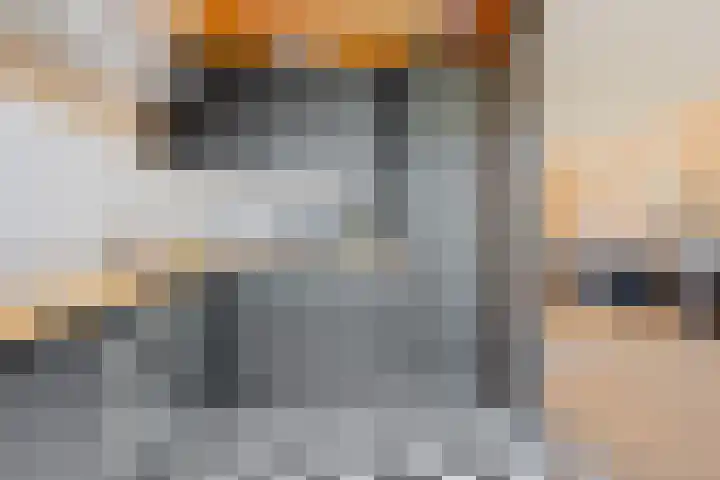Ratelaar 1 Heerenveen thumbnail 13