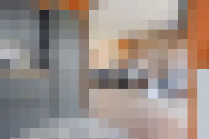 Ratelaar 1 Heerenveen thumbnail 14