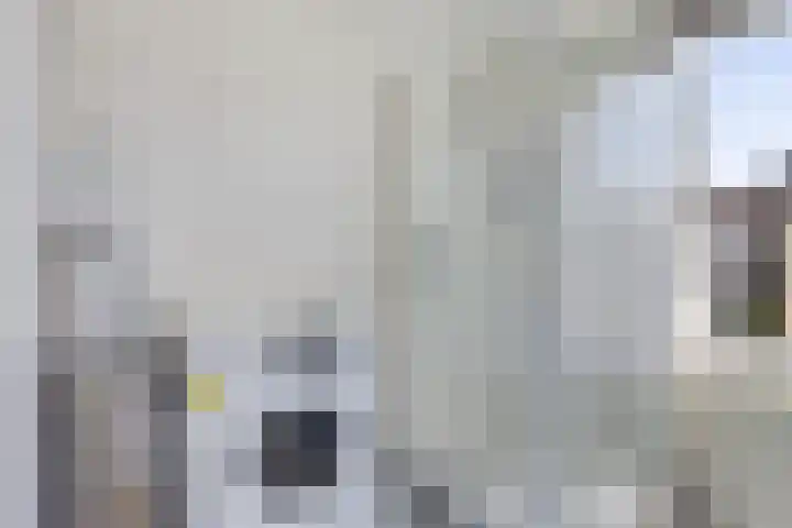 Ratelaar 1 Heerenveen thumbnail 20