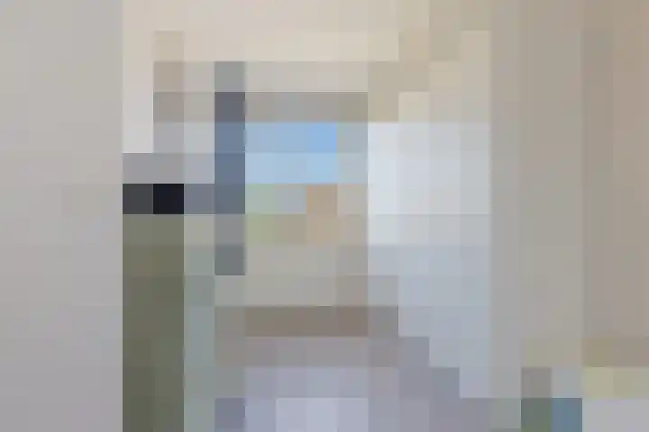 Ratelaar 1 Heerenveen thumbnail 22