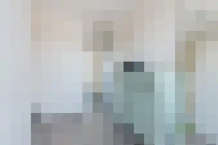 Ratelaar 1 Heerenveen thumbnail 23
