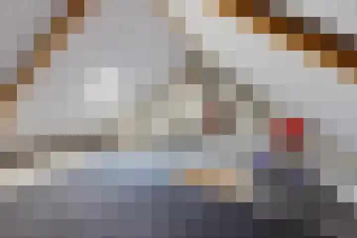 Ratelaar 1 Heerenveen thumbnail 24