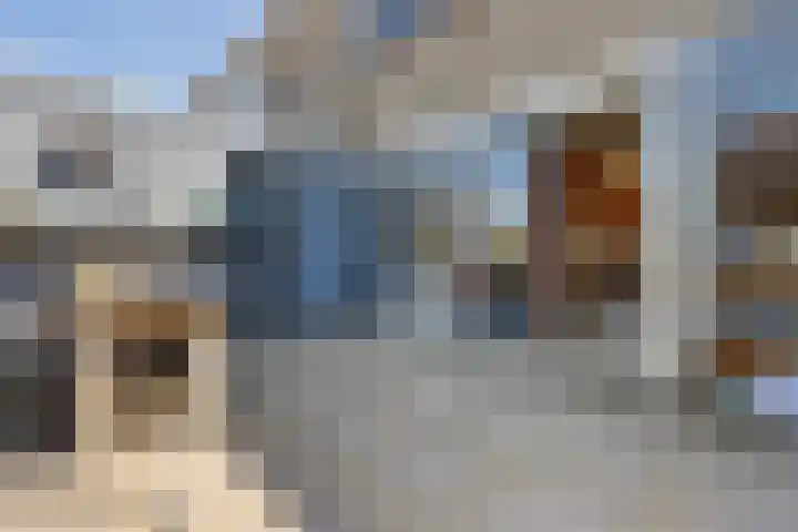 Ratelaar 1 Heerenveen thumbnail 25
