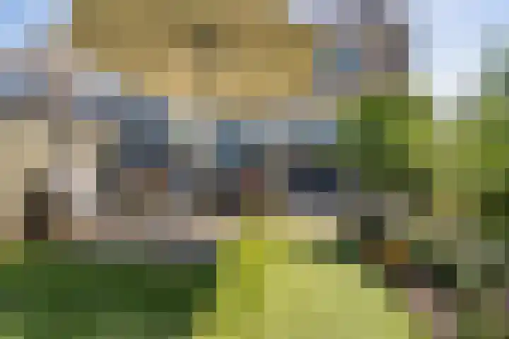 Ratelaar 1 Heerenveen thumbnail 26