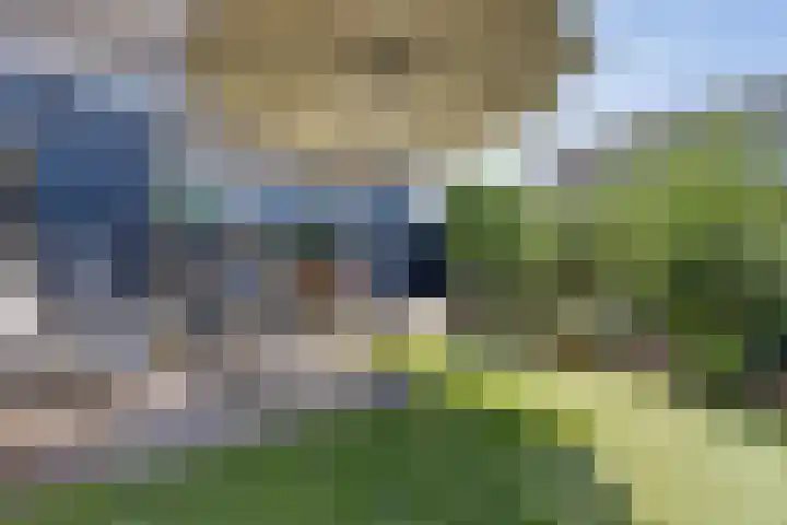Ratelaar 1 Heerenveen thumbnail 27