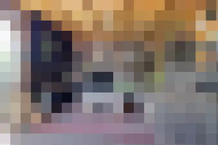 Ratelaar 1 Heerenveen thumbnail 31