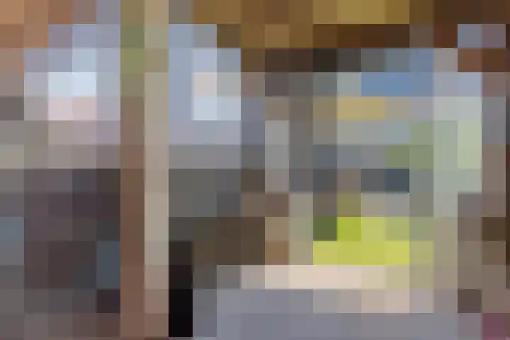 Ratelaar 1 Heerenveen thumbnail 32