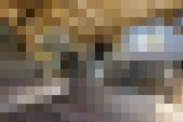 Ratelaar 1 Heerenveen thumbnail 33