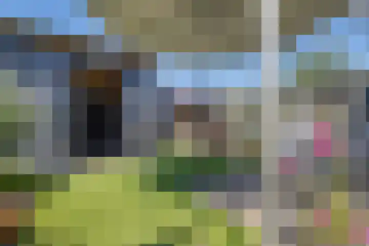 Ratelaar 1 Heerenveen thumbnail 35