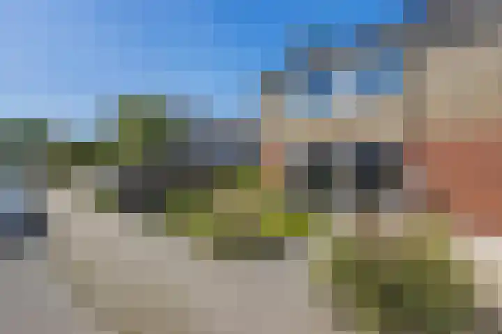 Ratelaar 1 Heerenveen thumbnail 37