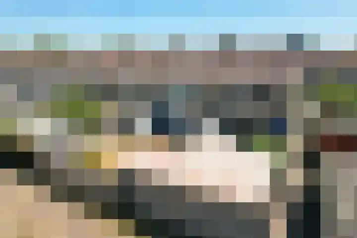 Ratelaar 1 Heerenveen thumbnail 39
