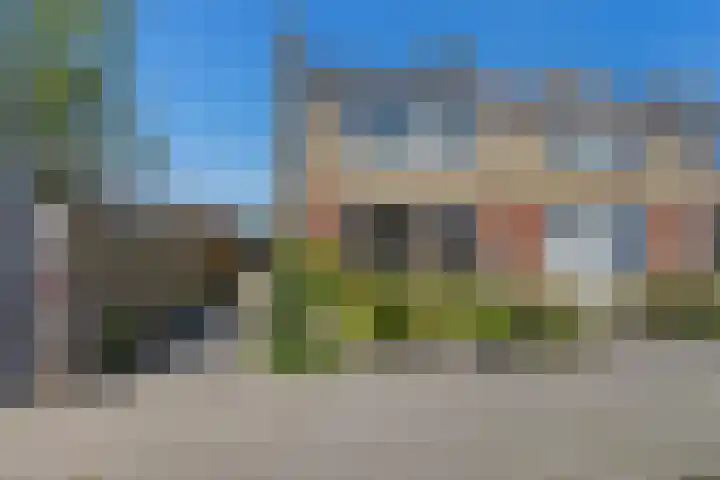 Ratelaar 1 Heerenveen thumbnail 45
