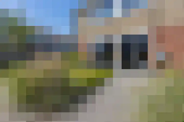 Ratelaar 1 Heerenveen thumbnail 7