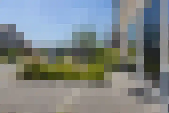 Ratelaar 1 Heerenveen thumbnail 8
