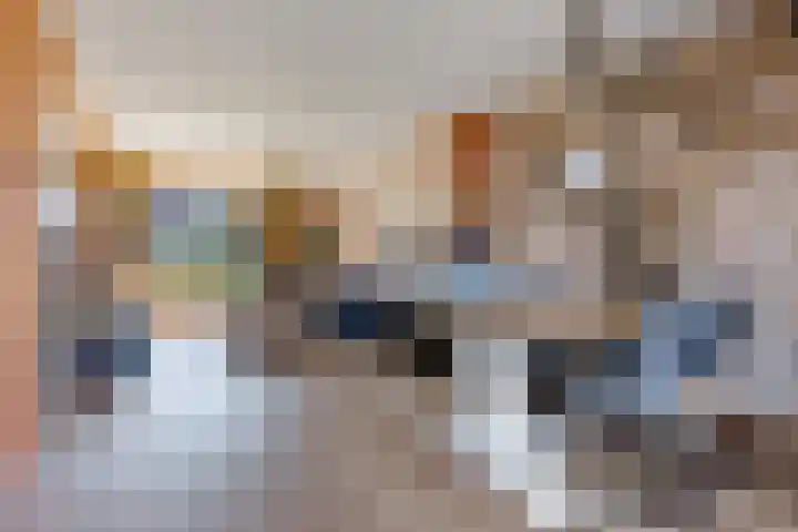 Ratelaar 1 Heerenveen thumbnail 9