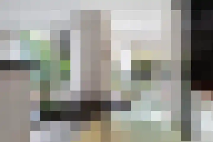 Ratelaar 1 Krimpen aan den IJssel thumbnail 10
