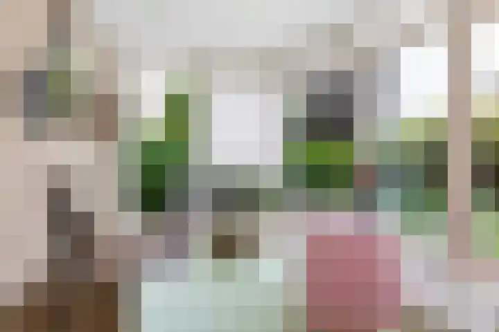 Ratelaar 1 Krimpen aan den IJssel thumbnail 11