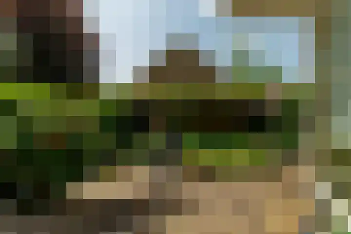 Ratelaar 1 Krimpen aan den IJssel thumbnail 14