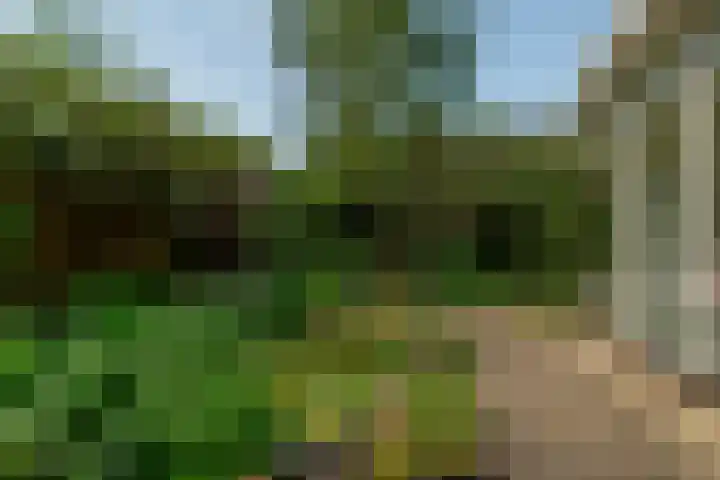 Ratelaar 1 Krimpen aan den IJssel thumbnail 15