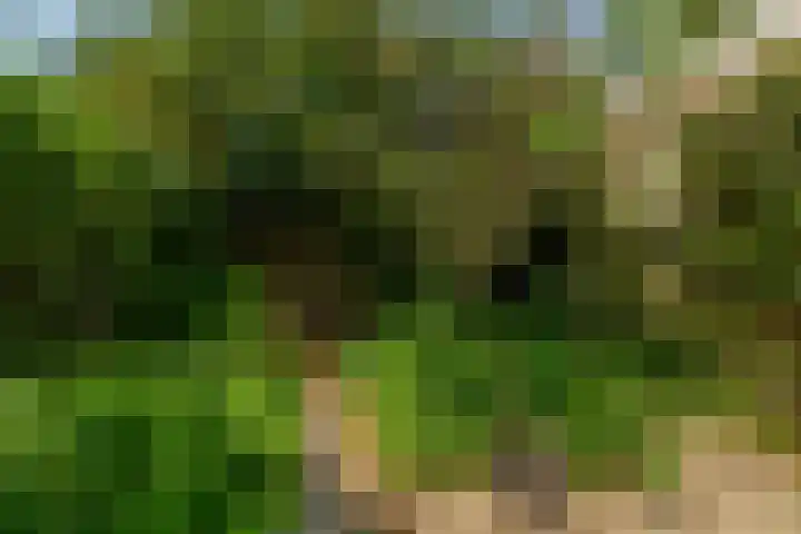 Ratelaar 1 Krimpen aan den IJssel thumbnail 16
