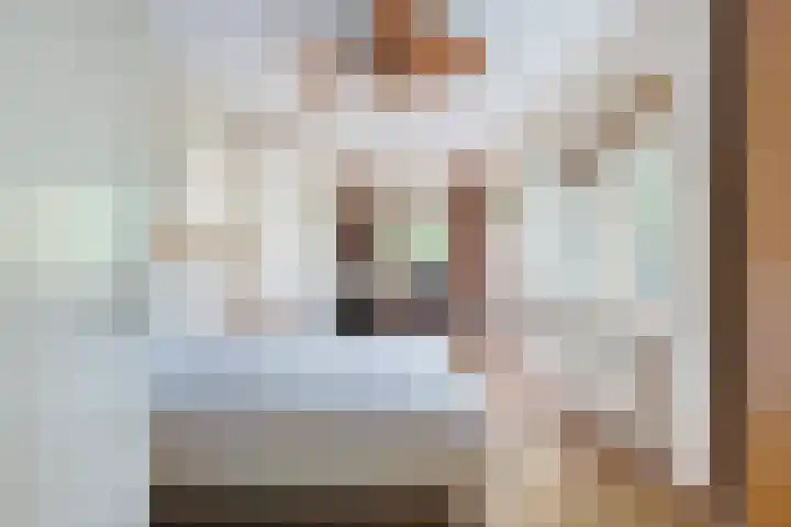 Ratelaar 1 Krimpen aan den IJssel thumbnail 17