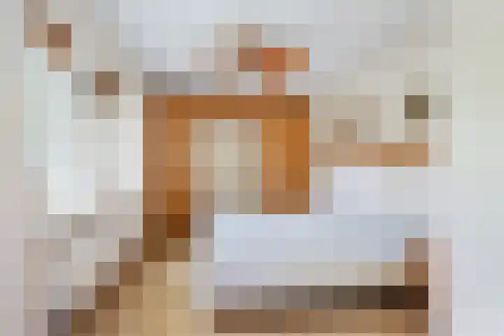 Ratelaar 1 Krimpen aan den IJssel thumbnail 19