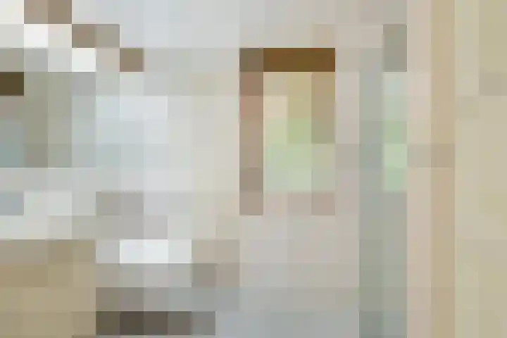 Ratelaar 1 Krimpen aan den IJssel thumbnail 20