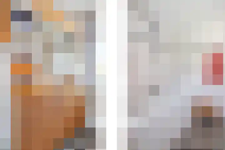 Ratelaar 1 Krimpen aan den IJssel thumbnail 28