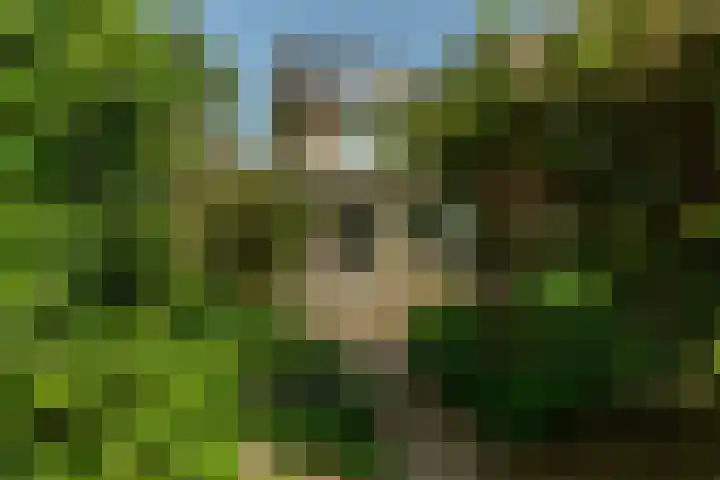 Ratelaar 1 Krimpen aan den IJssel foto 3