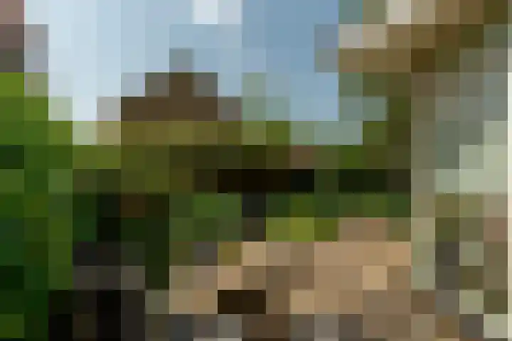 Ratelaar 1 Krimpen aan den IJssel thumbnail 34