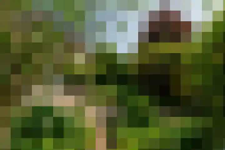 Ratelaar 1 Krimpen aan den IJssel thumbnail 35