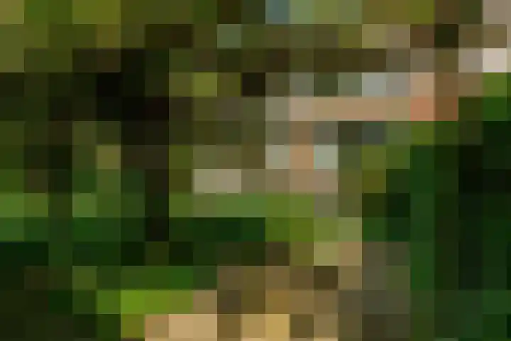 Ratelaar 1 Krimpen aan den IJssel thumbnail 36