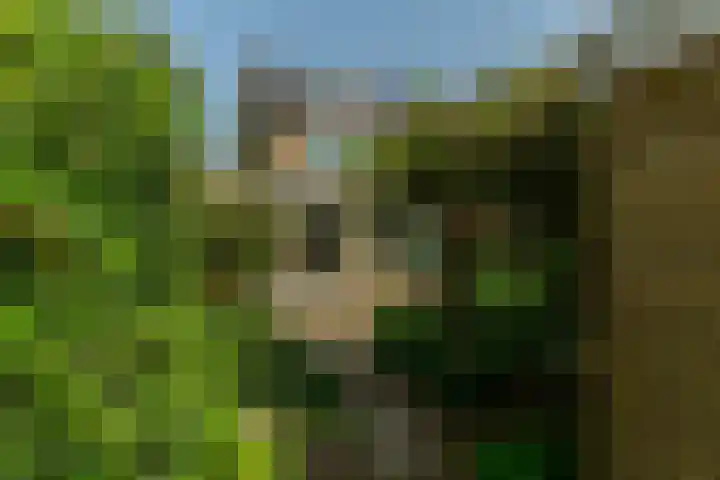 Ratelaar 1 Krimpen aan den IJssel thumbnail 38