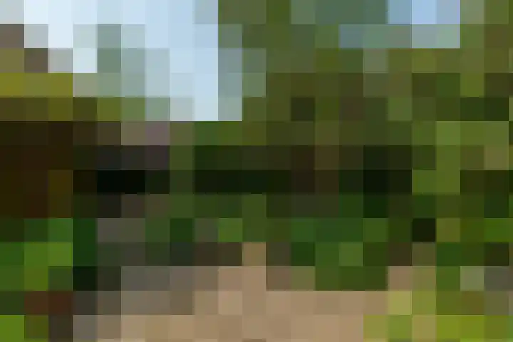 Ratelaar 1 Krimpen aan den IJssel thumbnail 39