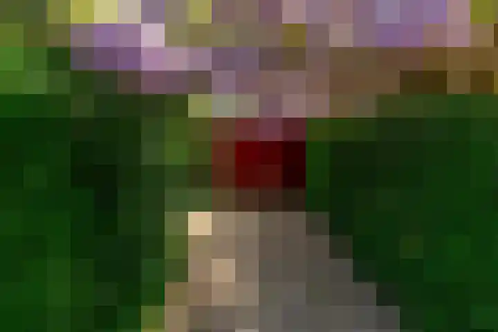 Ratelaar 1 Krimpen aan den IJssel thumbnail 4