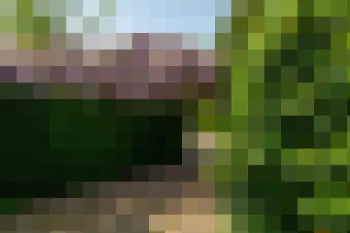 Ratelaar 1 Krimpen aan den IJssel thumbnail 41