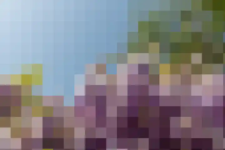 Ratelaar 1 Krimpen aan den IJssel thumbnail 42