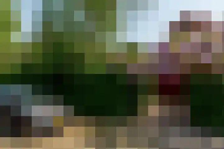 Ratelaar 1 Krimpen aan den IJssel thumbnail 43