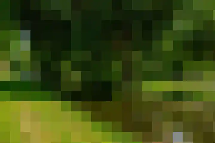 Ratelaar 1 Krimpen aan den IJssel thumbnail 44