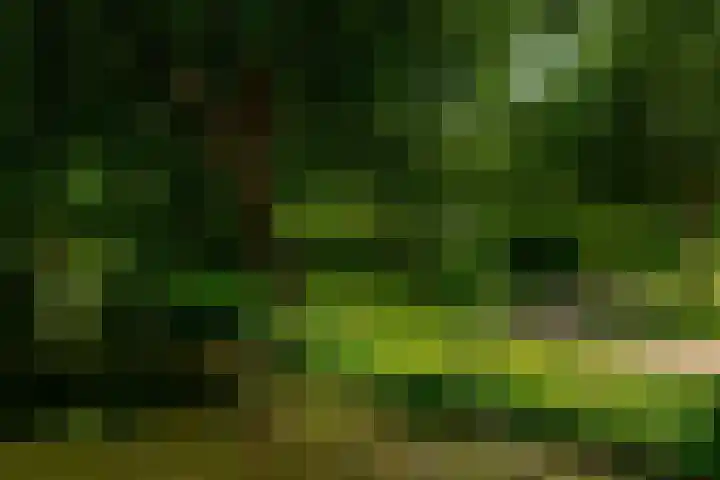 Ratelaar 1 Krimpen aan den IJssel thumbnail 45