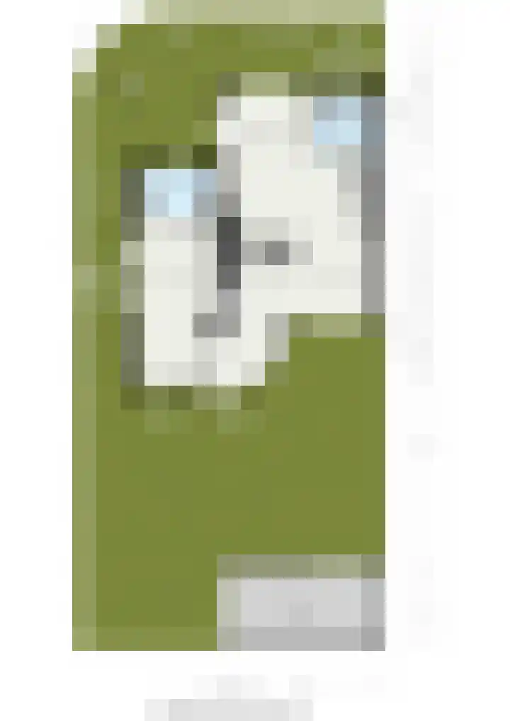 Ratelaar 1 Krimpen aan den IJssel thumbnail 47