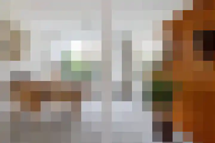 Ratelaar 1 Krimpen aan den IJssel thumbnail 5