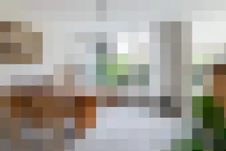 Ratelaar 1 Krimpen aan den IJssel thumbnail 8