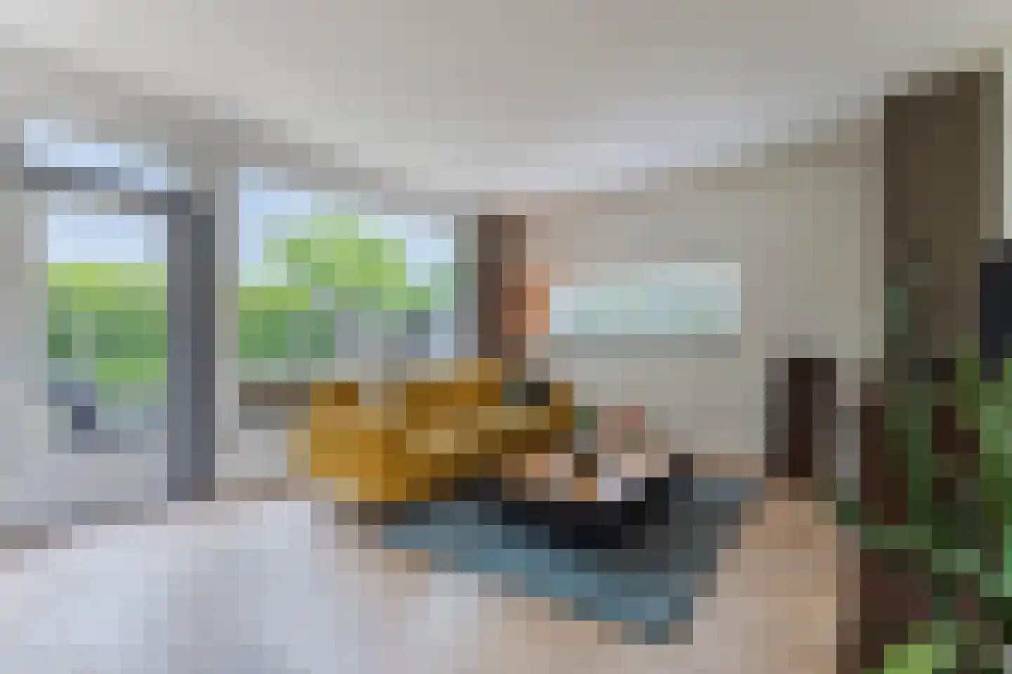 Ratelaar 1 Maarheeze thumbnail 10